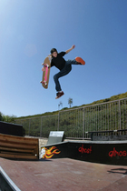 Ryan Sheckler : RyanSheckleractionpic1.jpg