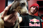 Ryan Sheckler : ryan_sheckler_1264291675.jpg