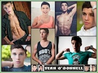 Sean O'Donnell : sean-odonnell-1482625068.jpg