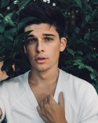 Sean O'Donnell : sean-odonnell-1532300701.jpg