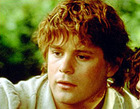 Sean Astin : seanastin_1293910603.jpg