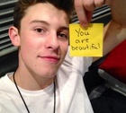 Shawn Mendes : shawn-mendes-1433128561.jpg