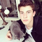 Shawn Mendes : shawn-mendes-1434763201.jpg