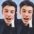 Shawn Mendes : shawn-mendes-1435863001.jpg