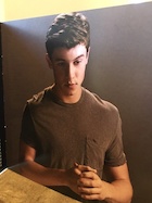 Shawn Mendes : shawn-mendes-1448107561.jpg