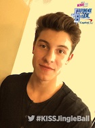 Shawn Mendes : shawn-mendes-1449075601.jpg