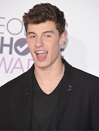 Shawn Mendes : shawn-mendes-1452183841.jpg