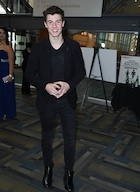 Shawn Mendes : shawn-mendes-1459739521.jpg