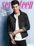 Shawn Mendes : shawn-mendes-1463698802.jpg