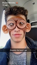 Shawn Mendes : shawn-mendes-1473725161.jpg