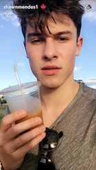 Shawn Mendes : shawn-mendes-1475371081.jpg