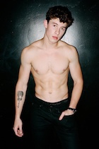 Shawn Mendes : shawn-mendes-1480618801.jpg