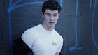 Shawn Mendes : shawn-mendes-1480622401.jpg