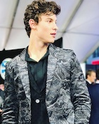 Shawn Mendes : shawn-mendes-1511164802.jpg