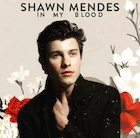 Shawn Mendes : shawn-mendes-1523335321.jpg