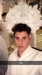 Shawn Mendes : shawn-mendes-1526003282.jpg