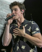 Shawn Mendes : shawn-mendes-1531226205.jpg