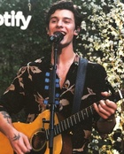 Shawn Mendes : shawn-mendes-1532125201.jpg