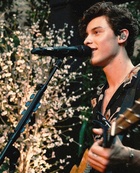 Shawn Mendes : shawn-mendes-1532125501.jpg