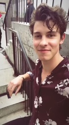 Shawn Mendes : shawn-mendes-1532837402.jpg