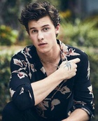 Shawn Mendes : shawn-mendes-1545700209.jpg