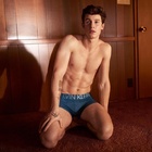 Shawn Mendes : shawn-mendes-1550614282.jpg