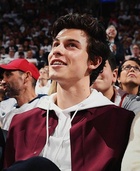 Shawn Mendes : shawn-mendes-1556480342.jpg