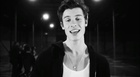 Shawn Mendes : shawn-mendes-1557005582.jpg