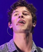 Shawn Mendes : shawn-mendes-1571175075.jpg