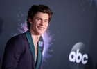 Shawn Mendes : shawn-mendes-1574721530.jpg