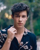 Shawn Mendes : shawn-mendes-1577308028.jpg