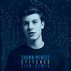 Shawn Mendes : shawn-mendes-1578075517.jpg