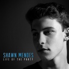 Shawn Mendes : shawn-mendes-1578075587.jpg