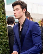 Shawn Mendes : shawn-mendes-1578975568.jpg