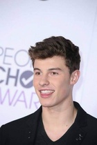 Shawn Mendes : shawn-mendes-1578993469.jpg