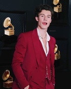 Shawn Mendes : shawn-mendes-1580153655.jpg