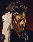 Shawn Mendes : shawn-mendes-1580844693.jpg