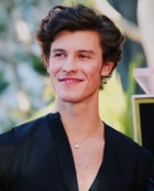 Shawn Mendes : shawn-mendes-1583786791.jpg