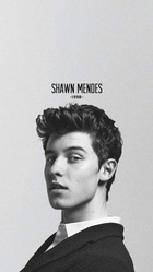 Shawn Mendes : shawn-mendes-1591544208.jpg