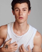 Shawn Mendes : shawn-mendes-1597166855.jpg