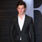 Shawn Mendes : shawn-mendes-1597286453.jpg