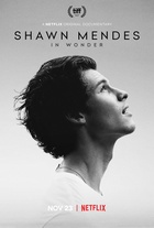 Shawn Mendes : shawn-mendes-1602628181.jpg