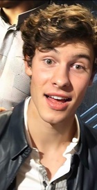 Shawn Mendes : shawn-mendes-1603733301.jpg