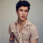 Shawn Mendes : shawn-mendes-1607361970.jpg