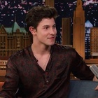 Shawn Mendes : shawn-mendes-1614979287.jpg