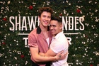 Shawn Mendes : shawn-mendes-1650825717.jpg