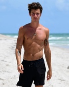 Shawn Mendes : shawn-mendes-1660663532.jpg