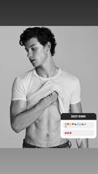 Shawn Mendes : shawn-mendes-1662047573.jpg