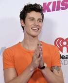 Shawn Mendes : shawn-mendes-1671302117.jpg