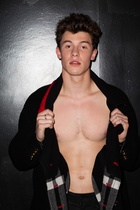 Shawn Mendes : shawn-mendes-1673662337.jpg